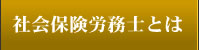 社会保険労務士とは