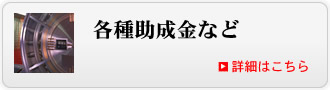 �Ƽ������ʤ�